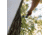HALF RACK The Bow Wing, 10in, Black, Small, HR1650