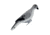 Hard Core Dove Decoy, 5-pack 01-300-0001