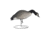 Hard Core Rugged FB Canada Goose Feeder - flocked head, 6-pack, 01-100-0043