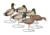 Hard Core Rugged FB Mallards Flocked Drake Heads Touchdown, 6-pack, 01-200-0025