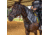 Haven Gear Riot Protection Horse Collar, One Size, HG-HNG