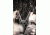 Hawk Treestands Treestands Helium Climbing Stick, Gray, Pack of 3, 2086Z