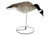 Mayhem Decoys by Heavy Hauler Outdoor Gear Canada Goose Field Decoy, 1 dozen HH0134CP