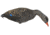 Mayhem Decoys by Heavy Hauler Outdoor Gear Mallard Field Decoy, 1 dozen HH0135M