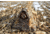 Heavy Hauler Outdoor Gear Snow Cover for EZ Collapse Dog Blind, White, HH0136