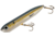 Heddon Chug'n Spook Topwater Walking Bait, 4 7/8in, 1 oz, G Finish Foxy Shad, X9556GFS