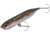 Heddon Chug'n Spook Jr Topwater Walking Bait, 3.5in, 1/2oz, Speckled Trout, X9536437