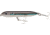 Heddon Super Spook Topwater Walking Bait, 5in, 1oz, SW Silver Mullet, XSW9256438