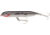 Heddon Super Spook Topwater Walking Bait, 5in, 1oz, SW Speckled Trout, XSW9256437
