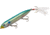 Heddon Super Spook Topwater Walking Bait, 5in, 7/8oz, Feathered Treble, Lake Fork Shad, X9256FHLFS