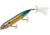 Heddon Super Spook Topwater Walking Bait, 5in, 7/8oz, Feathered Treble, Wounded Shad, X9256FHBS