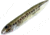 Heddon Super Spook Jr. Topwater Walking Bait, 3-1/2in, 1/2 oz, Florida Bass, X9236HFB