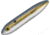 Heddon Super Spook Jr. Topwater Walking Bait, 3-1/2in, 1/2 oz, Foxy Momma, X9236426
