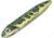 Heddon Super Spook Jr. Topwater Walking Bait, 3-1/2in, 1/2 oz, Frog, X923606