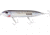 Heddon Super Spook XT Topwater Bait, Floating, 1oz, 5in, Sea Trout, 8/Pack, XSW9256437