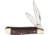 Hen &amp; Rooster Peanut Brown Bone Folding Knife,Clip and Pen,Brown,Smooth Bone Handle HR402BRB