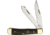 Hen &amp; Rooster Trapper Buffalo Horn Folding Knife, 4.13 Mirror SS Clip/ Spey Blades, Buffalo Horn Handle, Nickel Silver Bolster, Inlay Shield, 312-CBH