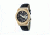 Hr3806 Gemini Mens Watch, Black