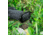 Herrington Arms PSA DAGGER V2 HA Magwell, Black, HADGMAGWELL-COMP-BL