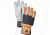 Hestra Army Leather Abisko Glove, Black, 6, 30770-Black-6