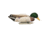 Higdon Outdoors 17053 Magnum Mallard Foam Filled Floaters Multi Color Mallard