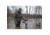 Higdon Outdoors 54073 Pulsator Mallard Drake Species