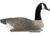 Higdon Outdoors Canada Goose Floaters Decoy, Foam Filled, Fullsize, 77143