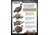 Higdon Outdoors Hard Body Laydown Hen Turkey Decoy, 63133