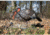 Higdon Outdoors XS TruBreeder Motion Breeding Pair Turkey Decoys, Lit Bat and Remote, 63178