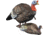 Higdon Outdoors XS TruBreeder Motion Breeding Pair Turkey Decoys, Lit Bat and Remote, 63178