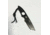 Hoffner Knives Bodyguard Belt Fixed Blade Knife, 2.5in, 440C Steel, Tanto, Steel, Black, NECK-ITP-TA