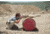 Hog Saddle PIG Skins Barricade Pad