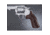 DAN WESSON SM. FRAME PAU FERRO