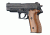 Hogue Sig P227 DA/SA Pau Ferro 47360