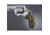 TAURUS MED. &amp; LG. RD. BUTT LAM
