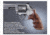 Hogue Taurus Med. &amp; Lg. Sq. Butt Rose Lam Stripe/Cap 66520