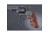 TROOPER MK III ROSE LAMINATE