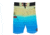 Hook &amp; Tackle Mens Gradient Scales Stretch Boardshort, M016004-202-38