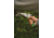 Hooyman Curved Blade Hand Saw, Black/Green, 1112250