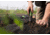Hooyman Gardening Tool Set, 1178124