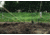 Hooyman Gardening Tool Set, 1178124