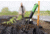 Hooyman Gardening Tool Set, 1178124