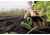 Hooyman Gardening Tool Set, 1178124