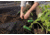 Hooyman Gardening Tool Set, 1178124