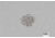 Hopkins Split Ring, Large, SRL