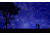 Nighttime Stars