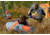 Alps Mountaineering Sleeping Bag
