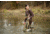 Hunting Waders