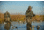 Two Men in Camouflage Duck Hunting