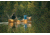 Men Paddling Canoe and Fishing